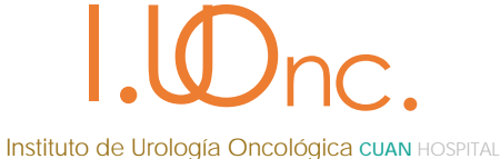 Instituto de Urologia Oncologica